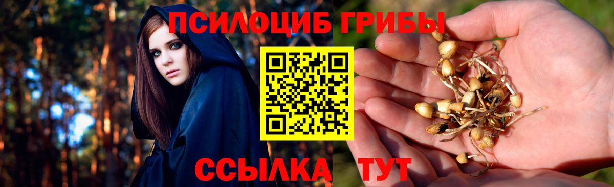 Галлюциногенные грибы ЛСД  Вход с VPN  Бахчисарай 